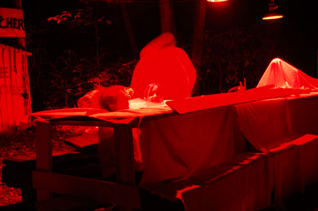 Hayride11